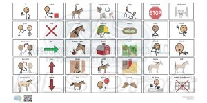 Therapeutic riding boards