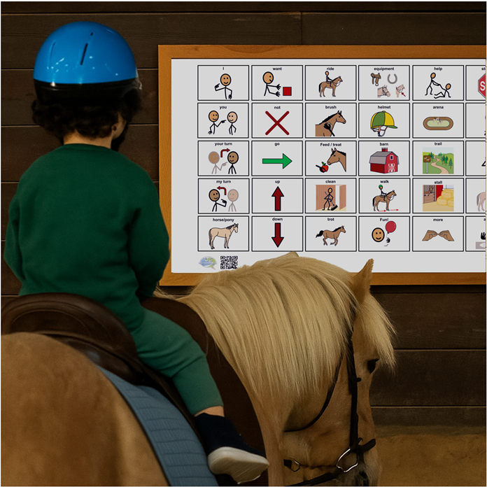 Therapeutic riding Boards