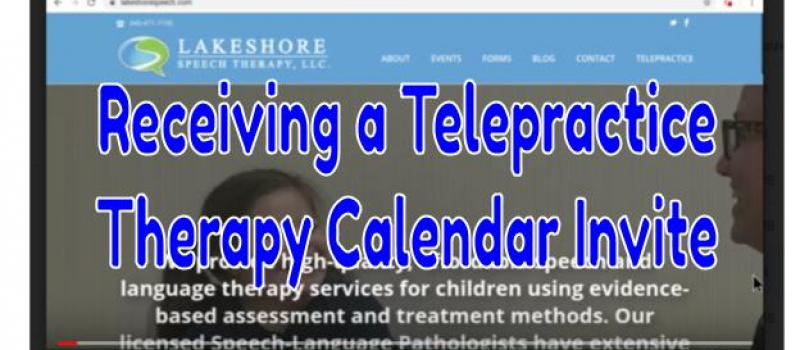 Telepractice